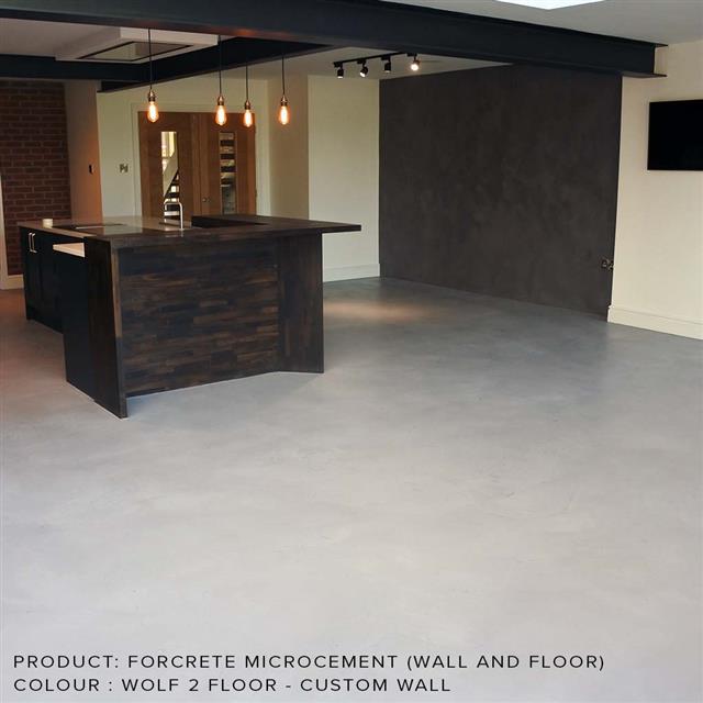 WOLF 2 - Microcement Wall and Floor.jpg